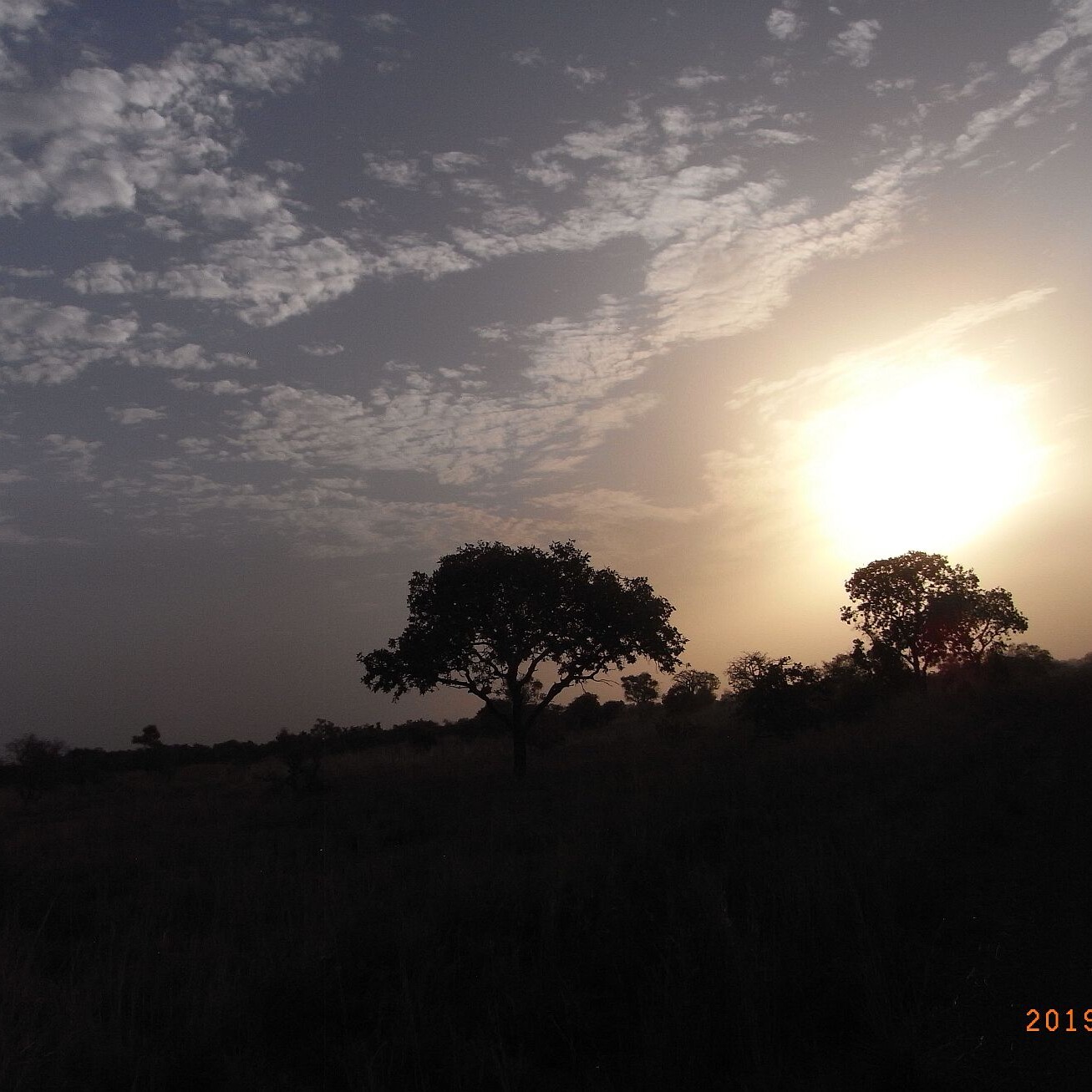 Spendenaktion Benin: Landschaft bei Sonnenuntergang. Bildungsprojekt Mai 2020.